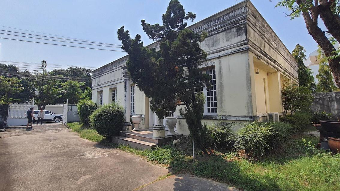 ขายที่ดินซอยสุขุมวิท 54 ขนาด 200 ตร.ว พร้อมบ้านและสำนักงาน  10