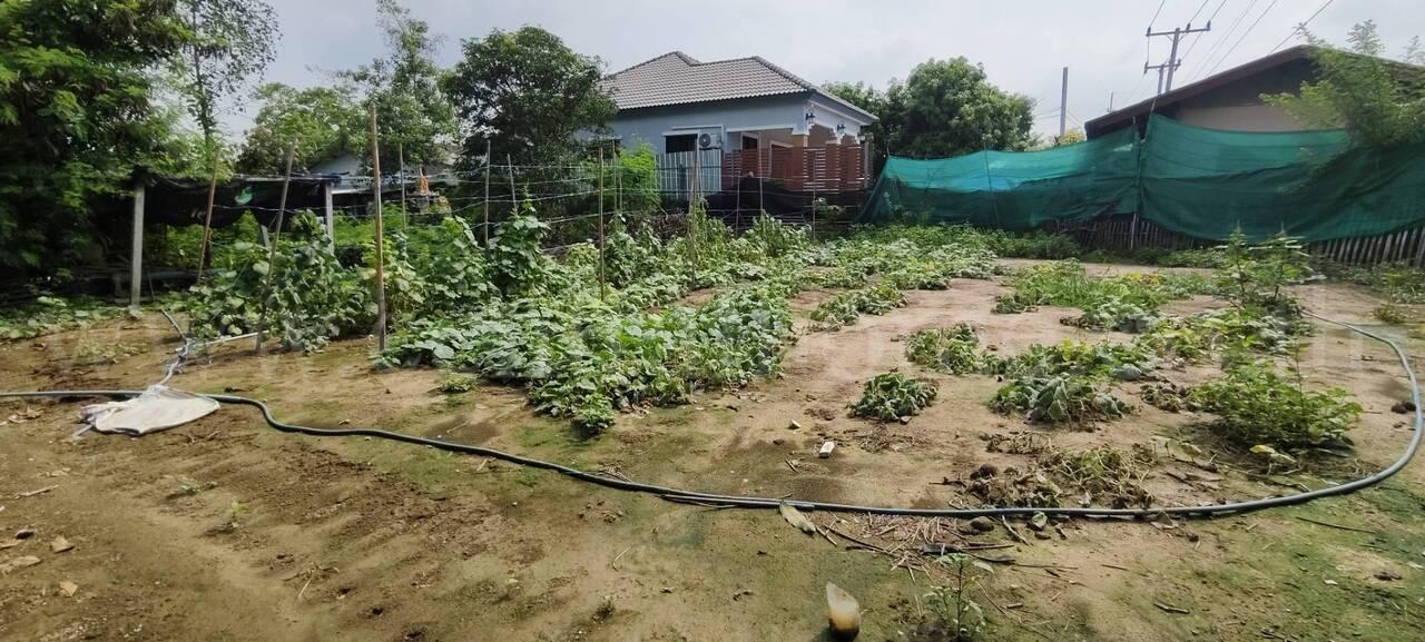 ที่ดินพร้อมสิ่งปลูกสร้าง  2-2-25 ไร่ บางเลน นครปฐม 17