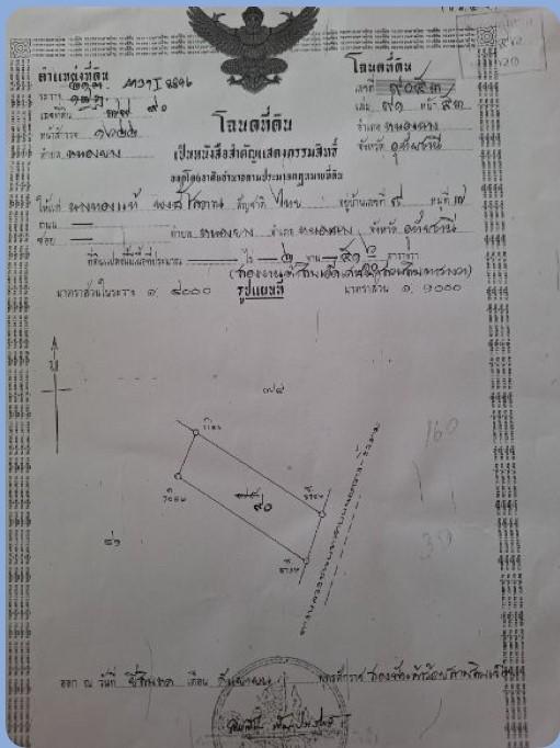 ขายที่ดิน (2 โฉนดติดกัน) อ.หนองฉาง จ.อุทัยธานี ตำบลหนองยาง เนื้อที่ 11 ไร่ 3 งาน 2