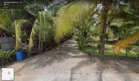 ที่ดินร่องสวน เหมาะทำที่พัก โฮมสเตย์ 4