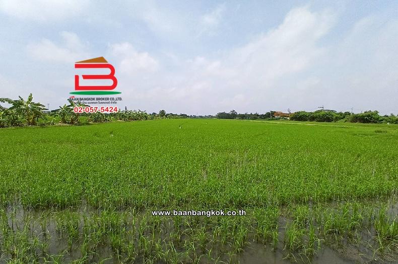 ที่ดินเปล่า ไมตรีจิต 10 แยก 4 เนื้อที่ 41-0-52 ไร่ ใกล้โรงพยาบาลรัตนประชารักษ์ แขวงสามวาตะวันออก เขตคลองสามวา กรุงเทพมหานคร 6