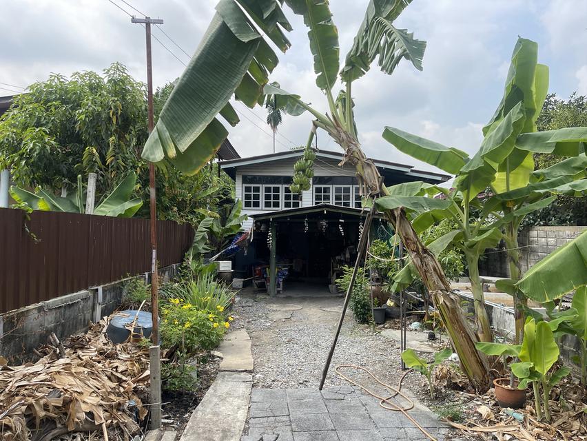 ขายบ้านครึ่งปูนครึ่งไม้พร้อมที่ดิน 100 ตรว. 2