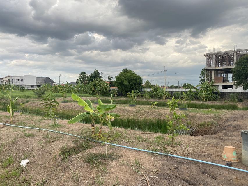 ที่ดินเปล่า เทิดราชัน47 3