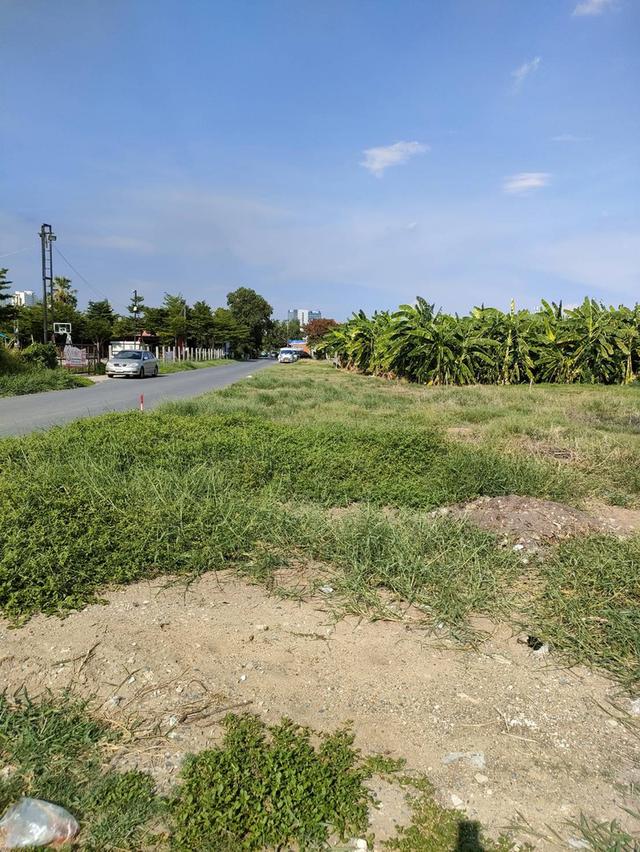 ให้เช่าที่ดินเปล่าถมแล้วในถนนนวลจันทร์ กรุงเทพมหานคร 4