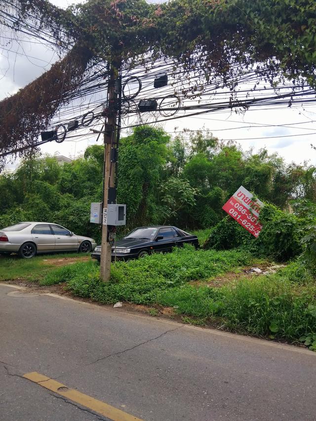ขายที่ดิน.แถวสนามบินน้ำ.1ไร่.200. ต.ร.ว. วาละ120000.เข้าออกได้.3ทาง.สนามบินน้ำ ถนนติวานนท์.ถนน.รัตนธิเบต  สนใจติดต่อผมได้เลย ครับ ติดทรัพย์.. 5