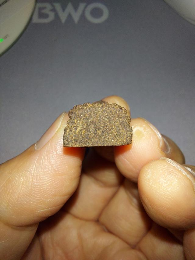 หลวงพ่อทวด รุ่นพระนามาภิไธย สก. ปี 2544 เนื้อว่าน พิมพ์พระรอด วัดห้วยมงคล สภาพสวย กล่องเดิมครบ