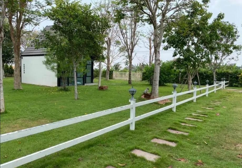 บ้านพักสไตล์รีสอร์ท 4