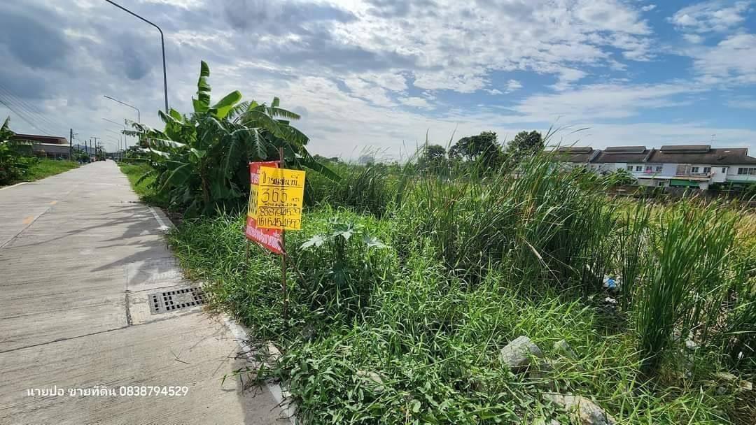 Vายด่วนที่ดินคลองสอง  363 ตารางวา ติดถนนคอนกรีตสาธารณะ  ซอยแก้วบาง อ.คลองหลวง จ.ปทุมธานี 6