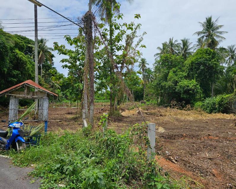 ขายที่ดินเปล่าขนาด 5งาน 55ตรว. 4