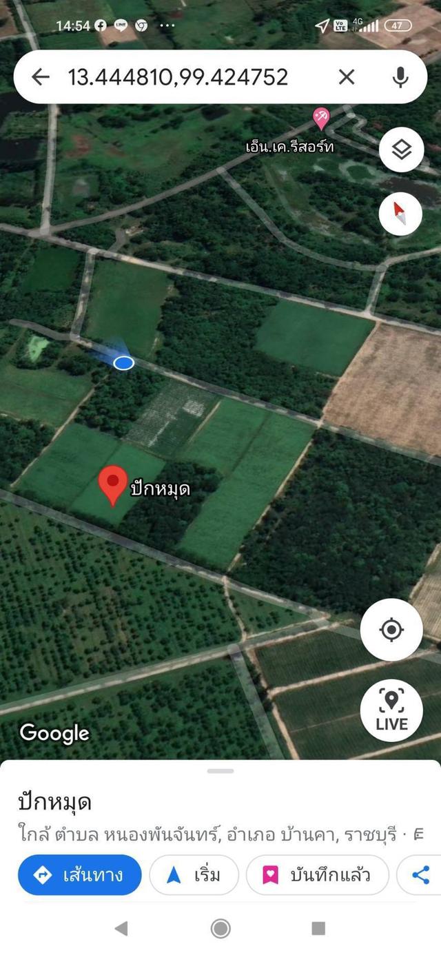 ขายที่ดินแถวสวนผึ้ง ราชบุรี ขายด่วนถูกมากๆๆ2ไร่ ต่อรองได้ ก้อย 0982832356 1