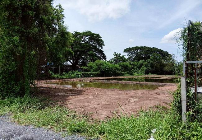 ขายที่ดิน ซอยมิตรไมตรี 14 ถนนมิตรไมตรี หนองจอก กรุงเทพ เนื้อที่ 1 ไร่ ถมแล้ว 4