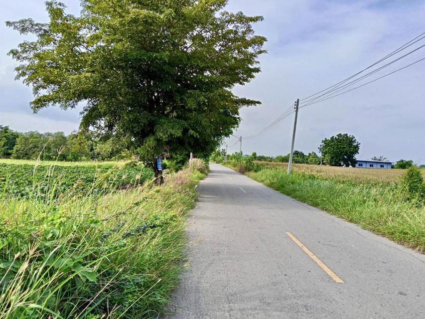 ขายที่ดินโฉนดครุฑแดงสระบุรี ราคาถูก1ไร่ 690,000หกแสนเก้าหมื่น บ้านหนองหว้า อ.เฉลิมพระเกียรติ จ.สระบุรี โทร098 513 6286 2