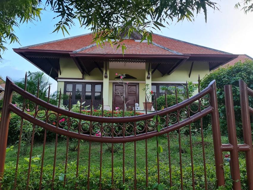 บ้านนอกโครงการ แถวพืชสวนโลก 3