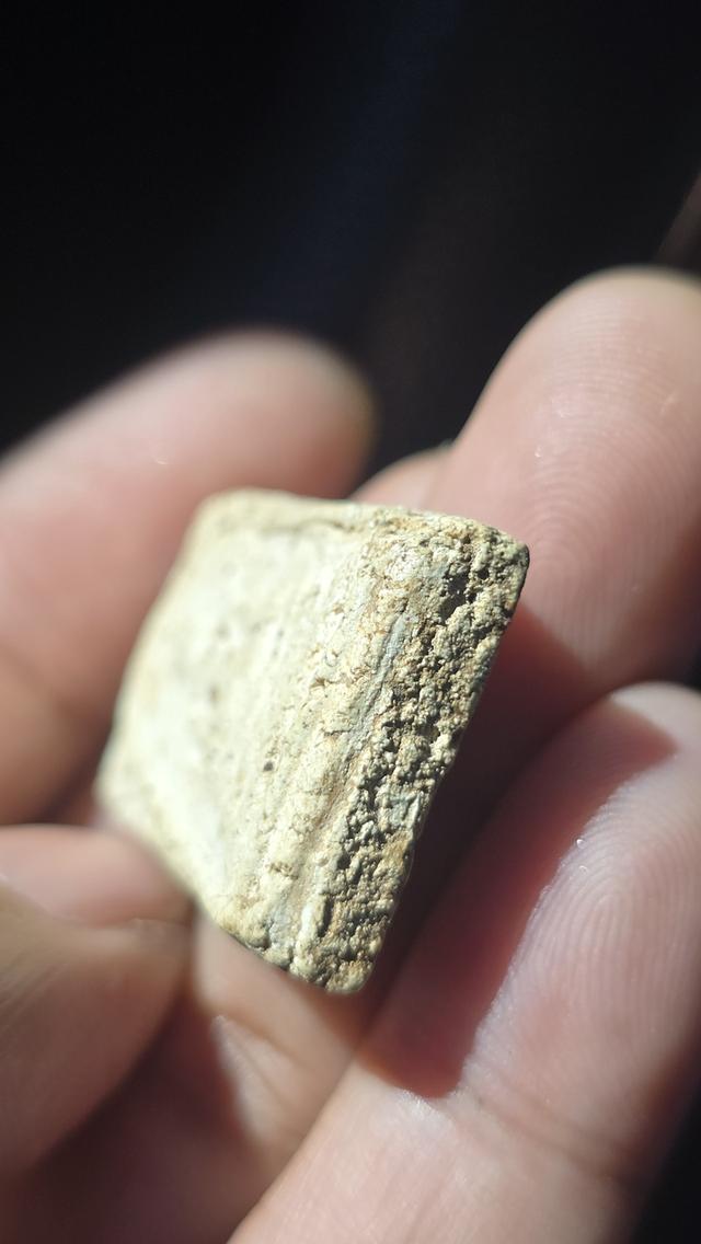 พระสมเด็จวัดระฆัง พิมพ์ใหญ่ 5