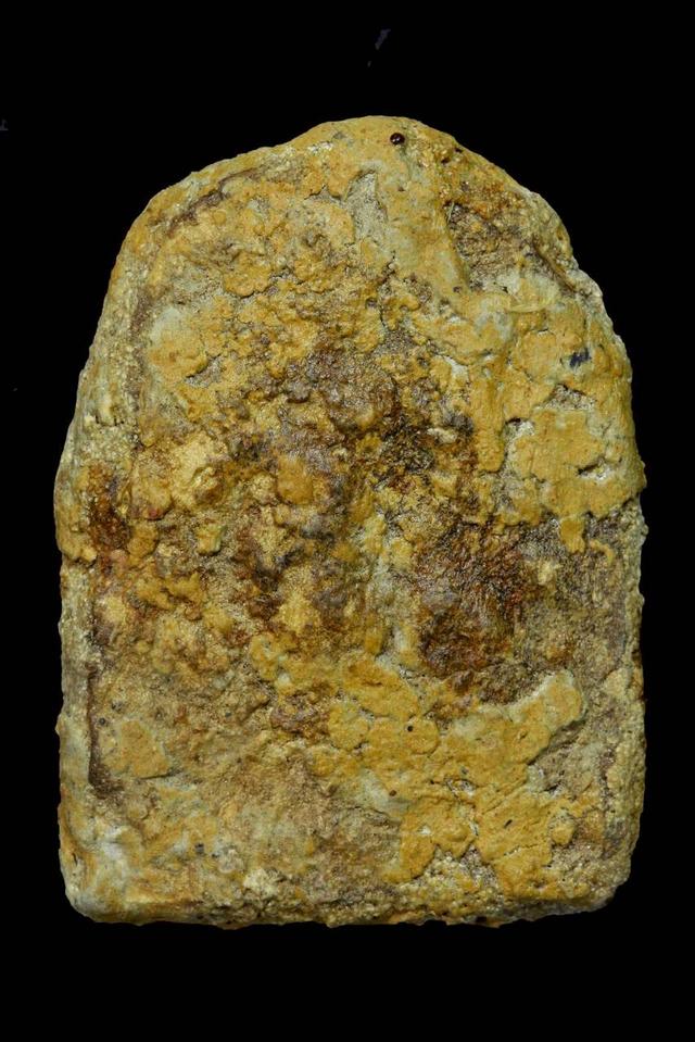 พระซุ้มกอเนื้อว่านหน้าทอง รูปที่ 3