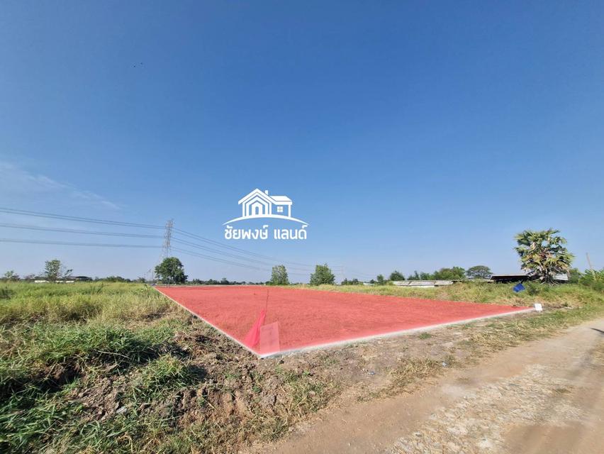 ที่ดิน1ไร่บางบัวทองราคาถูกกว่าตลาดฟรีโอน 4