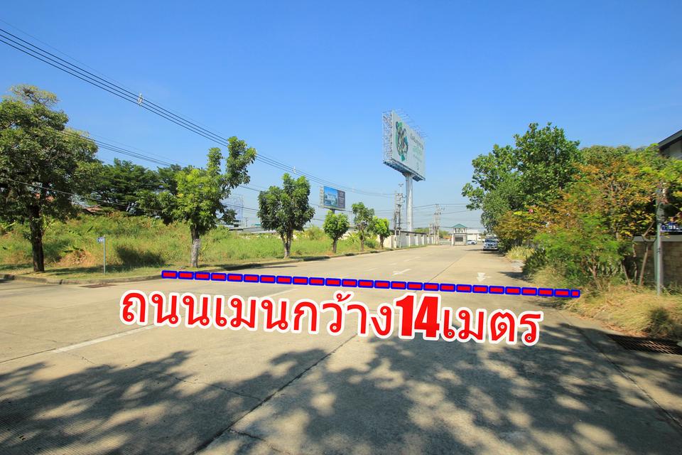 ที่ดินถนนบรมราชชนนีปิ่นเกล้านครชัยศรี ที่ดินสร้างบ้าน396.8ตารางวา หมู่บ้านวริยาวิลล์ หมู่บ้านติดถนนใหญ่ ซอยแรกของโครงการ ใกล้มหิดลศาลายา 8