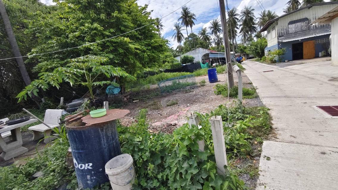 #ขายที่ดินทำเลดี #ที่ดินสวยทำเลทองใกล้ห้างสรรพสินค้า 4