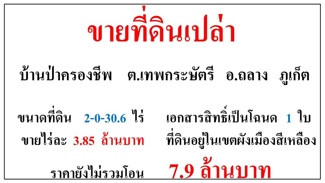 ขายที่ดินเปล่า ขนาด 2-0-30.6 ไร่  แถวบ้านป่าครองชีพ  ต.เทพกระษัตรี  อ.ถลาง  ภูเก็ต 1