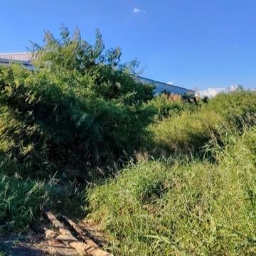 ขายที่ดินศักยภาพ บางนา–ตราด กม.13 ซอยกรีนเลค 3 11 ไร่กว่า ผังเมืองสีเหลือง 12