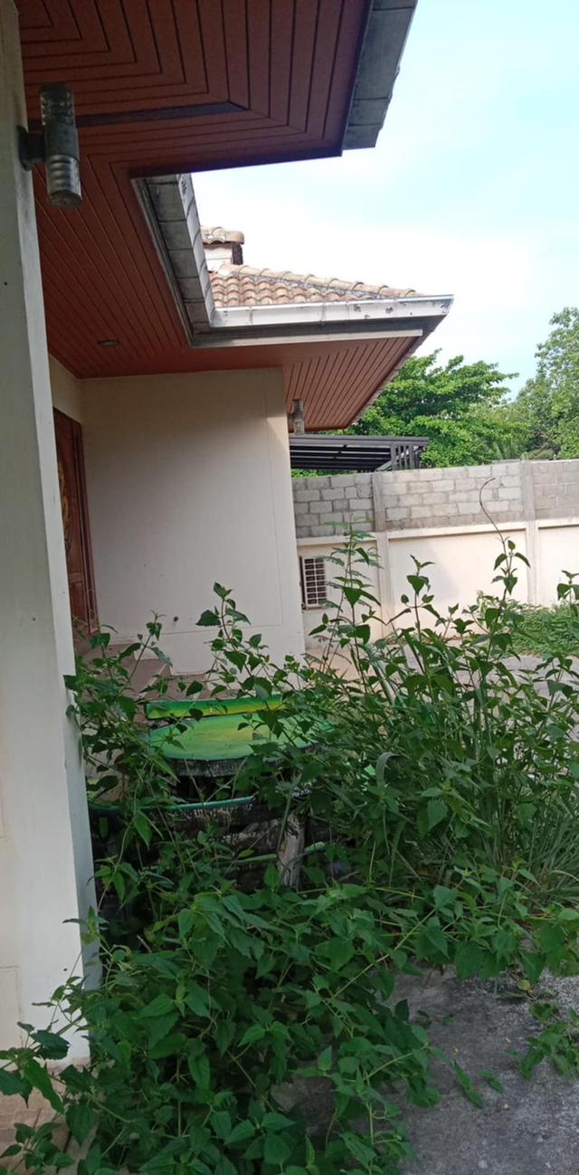 บ้านเดียว 1 ชั้น ไกล้ถนน รอบเมืองเชียงใหม่ หนองผึ้ง, สารภี , เชียงใหม่ 8