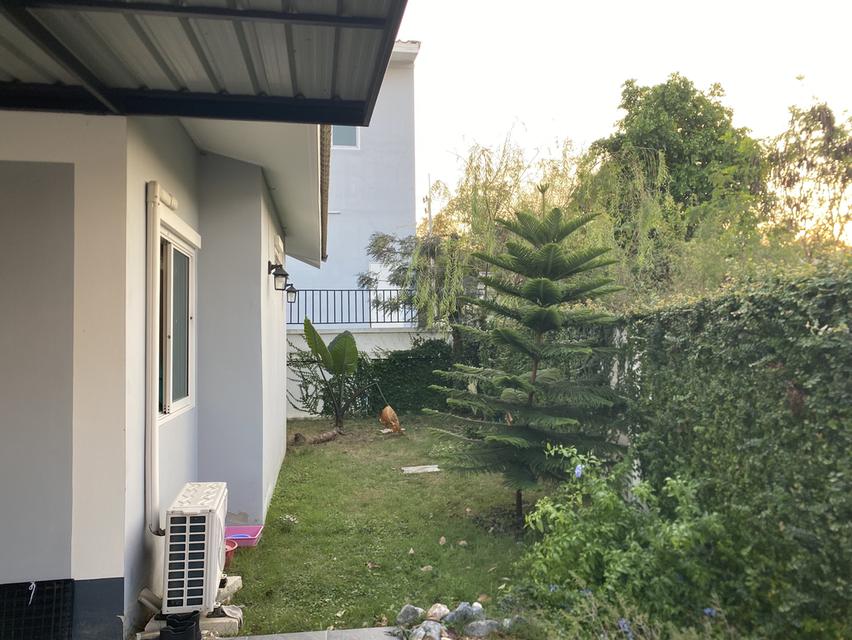 ขายบ้านเดี่ยวหนึ่งชั้น 10