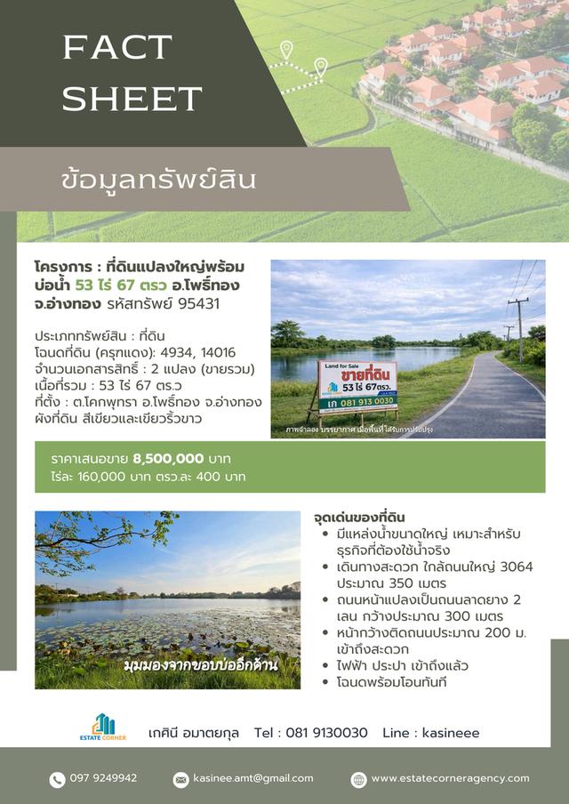 ขายที่ดินแปลงใหญ่พร้อมบ่อน้ำ 53 ไร่ ติดถนน (ใกล้ถนน 3064) ต.โคกพุทรา อ.โพธิ์ทอง จ.อ่างทอง โฉนดพร้อมโอนทันที เหมาะสำหรับ ทำฟาร์ม เกษตรกรรม 2