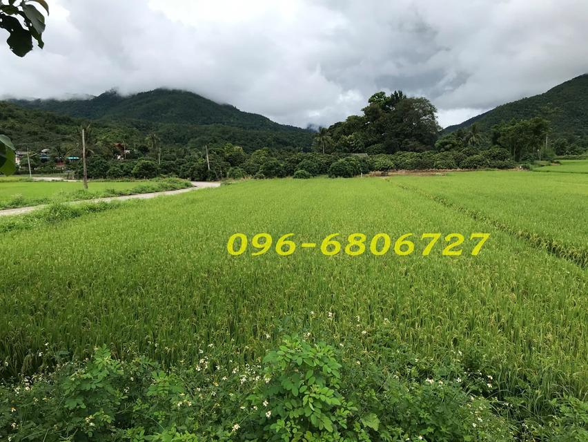 ที่นาวิวดอย ติดแม่น้ำวาง ใกล้ศูนย์ราชการ 8-3-73 ไร่ 3