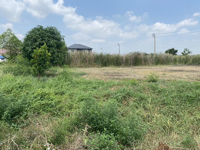 ขายที่ดินเปล่า ติดถนนใหญ่ คุ้มเกล้า ลาดกระบัง 8