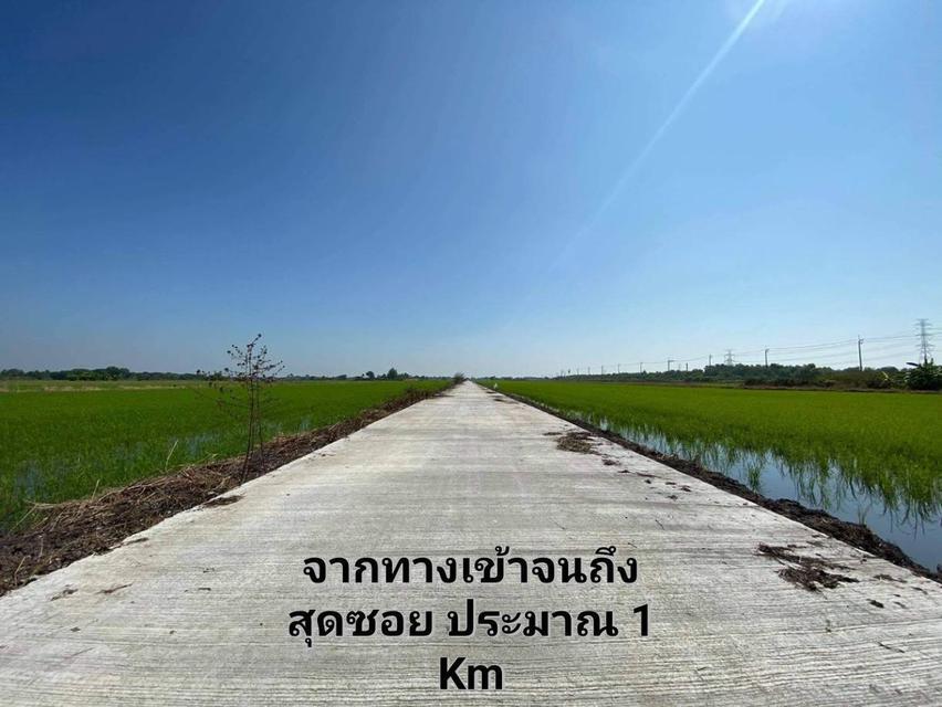 ที่ดินหนองจอกคลอง 13 7