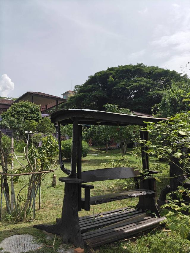 บ้านเหวปลากั้งพร้อมอยู่ ถนนผ่านผ่านศึก กุดคล้า 2-3-86ไร่ วิวเขาใหญ่ อากาศดีสุด เดินทางสะดวก 8