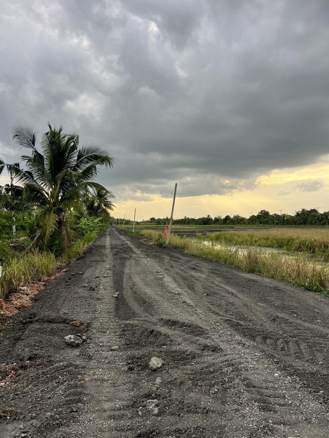 ขายที่ดินคลอง 11 หนองเสือ ปทุมธานี — 300 ตร.ว. ราคา 1.15 ล้านบาท 4
