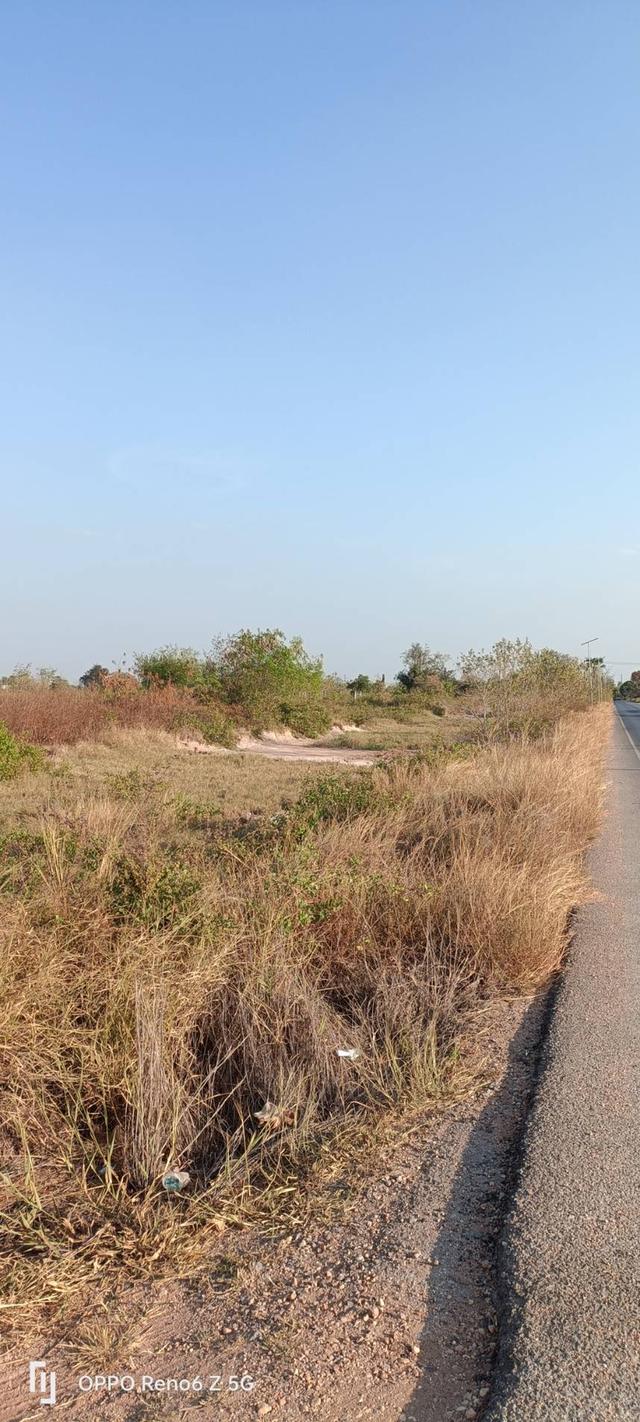 ที่ดินว่างเปล่าติดถนนดำและถนนสาธารณประโยชน์ 3