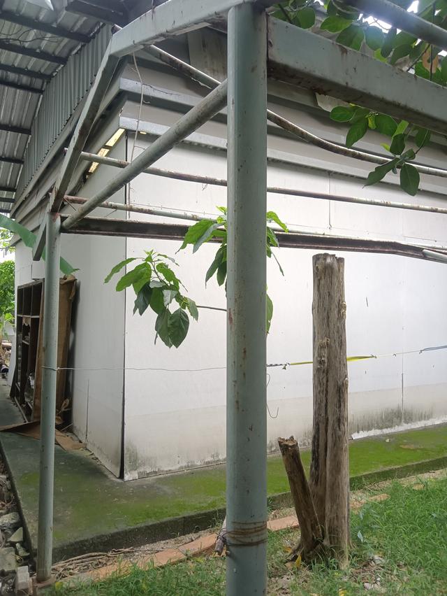 ที่ดินเปล่า 109 ตรว ใกล้ BTS สายหยุด ในซอยพหลโยธิน 48 แยก 5 9