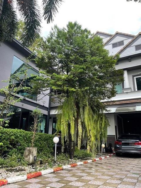PP366 ขายบ้านเดี่ยว โครงการ บ้านพัฒนาการ ซอยพัฒนาการ30 ซอยเดียวกันกับหมู่บ้านปัญญา 2