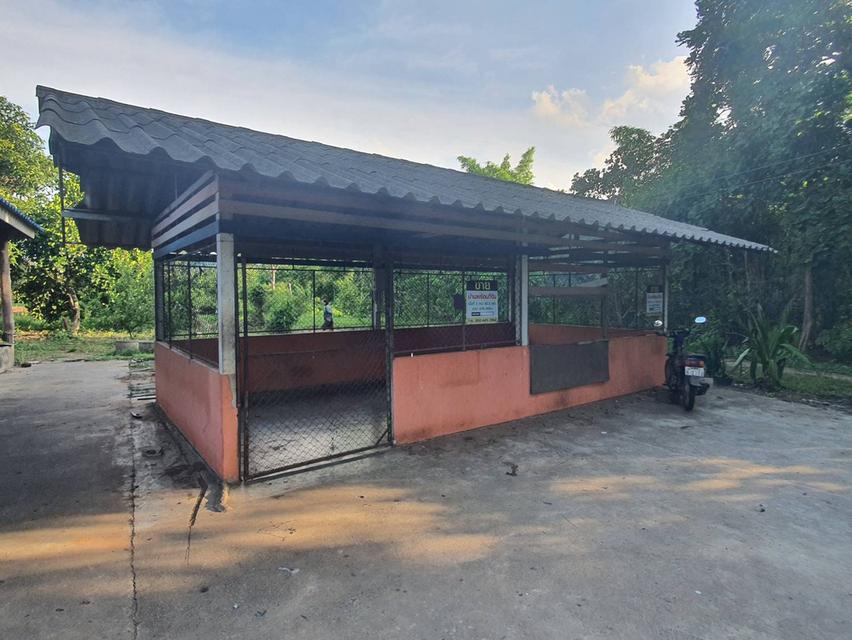 ขายบ้านพร้อมที่ดิน