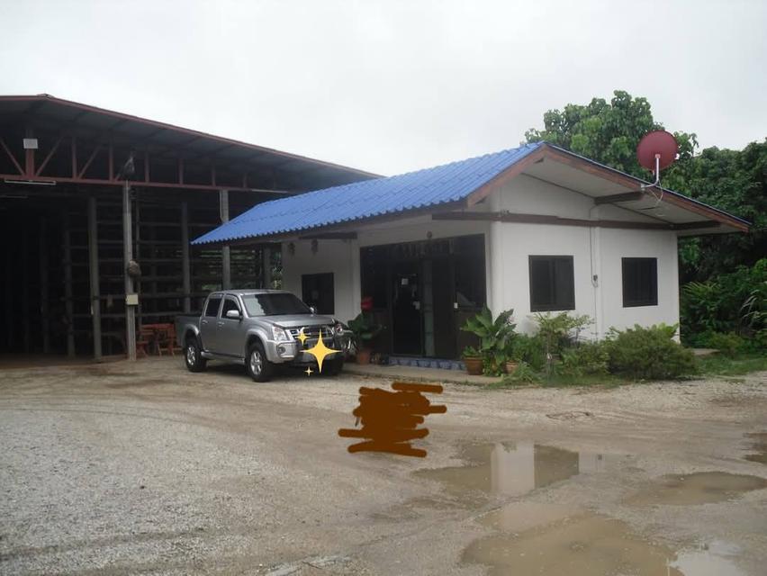 ที่ดินพร้อมสิ่งปลูกสร้าง 1