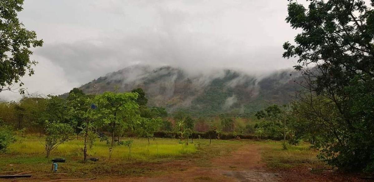 ขายที่ดินปราจีนบุรี 26 ไร่ 2 งาน 92 ตร.ว. ใกล้ทางขึ้นเขาใหญ่ ใกล้น้ำตกวังตะแคง วิวเขาอีโต้ ตำบลเนินหอม 10