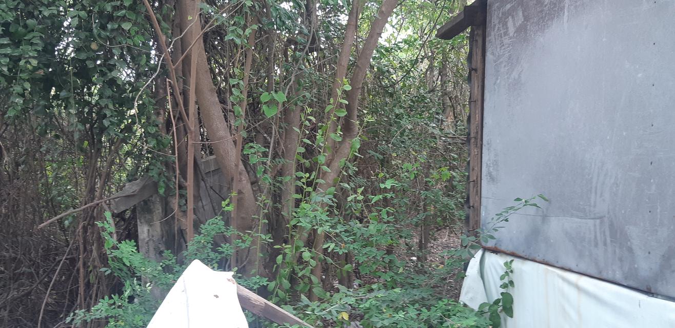 ขายที่ดินโครงการโกลเด้น แฟคทอรี่  ที่ดินจำนวน  2 – 2 - 91 ไร่ 6