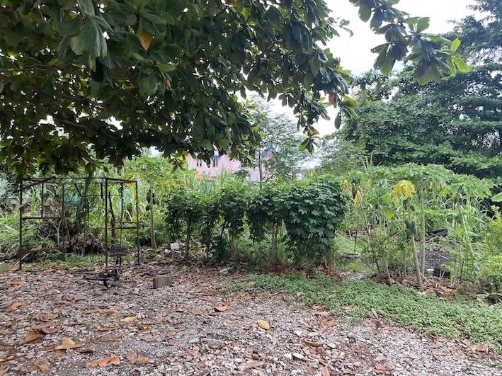 ขายวาละ 45,000 ที่ดิน 191 ตารางวา ซอยเพชรเกษม 68 แยก 30 4