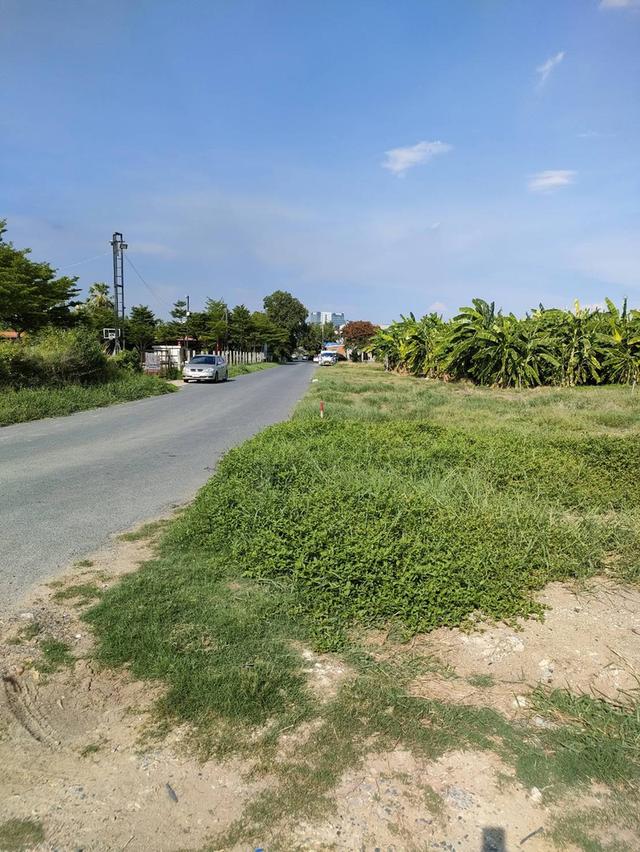 ให้เช่าที่ดินเปล่าถมแล้วในถนนนวลจันทร์ กรุงเทพมหานคร 6