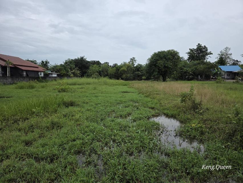 ที่ดินเปล่า บ้านพัก ตึกอาคาร 7