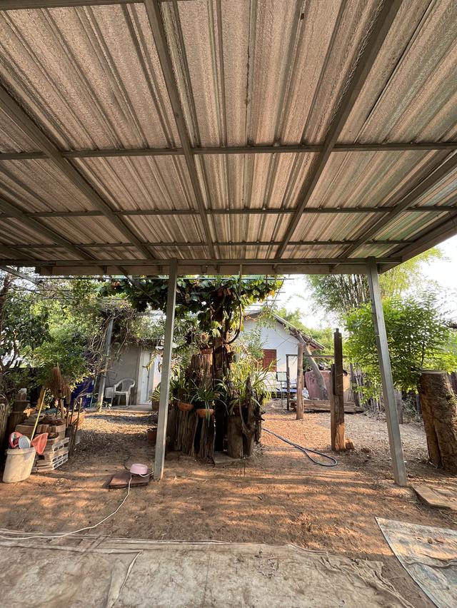 🔥 ที่ดินวิวพระอาทิตย์ตก ใจกลางอุดร 100 ตรว. ทำเลหายาก! ใกล้ UD TOWN 🌅 5