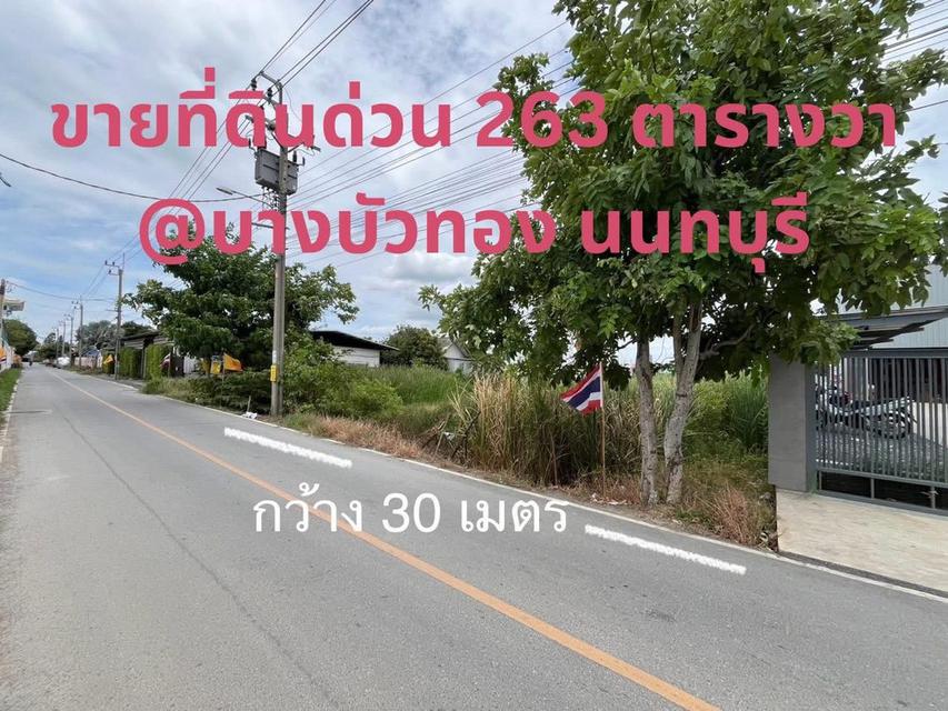 ที่ดินเปล่า 1