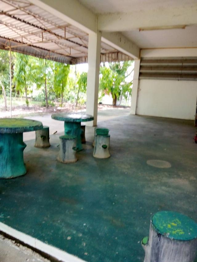 Warehouse on sale at Phimai  at Nakhonratchasima province  1