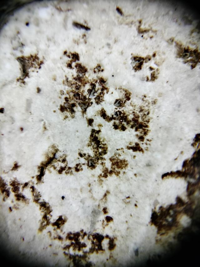 Phra Somdej Wat Rakhang รูปที่ 3