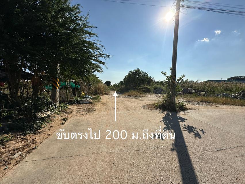 ขายที่ดินเปล่า รูปแปลงสวย เนื้อที่ 1-0-32 ไร่ ถ.ดอนนุ่น 3 ต.บึง อ.ศรีราชา จ.ชลบุรี 4