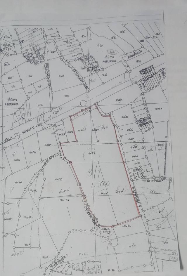 ที่ดิน อ.เมือง จ.นครราชสีมา 2