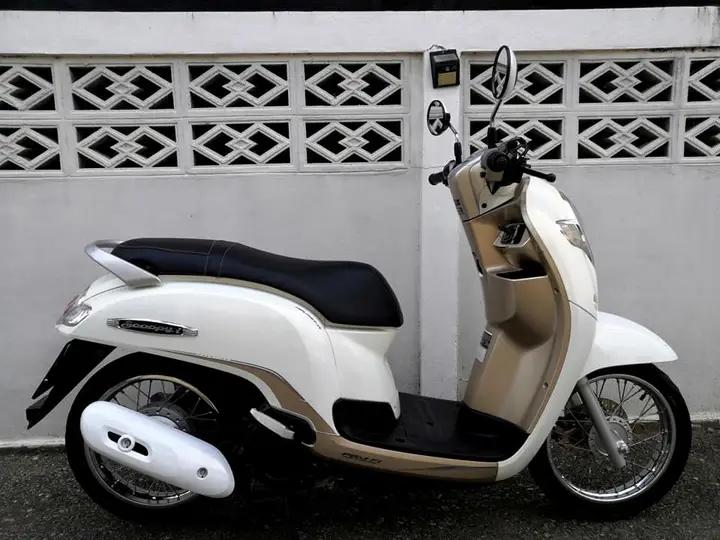 พร้อมขาย  Honda Scoopy จังหวัด ชลบุรี 2