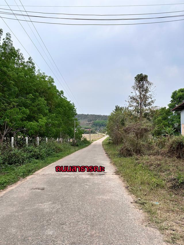 ขายที่ดินเปล่าพร้อมโกดังและบ้าน บ้านจำปู ต.เจริญเมือง อ.พาน จ.เชียงราย 57120 6